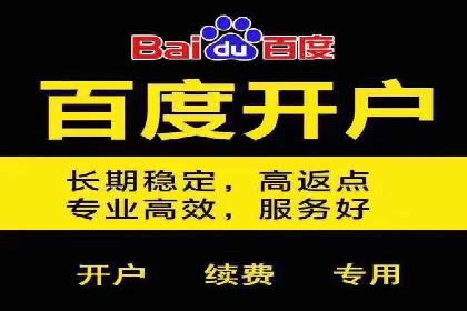 精准营销之道：百度竞价代理案例剖析
